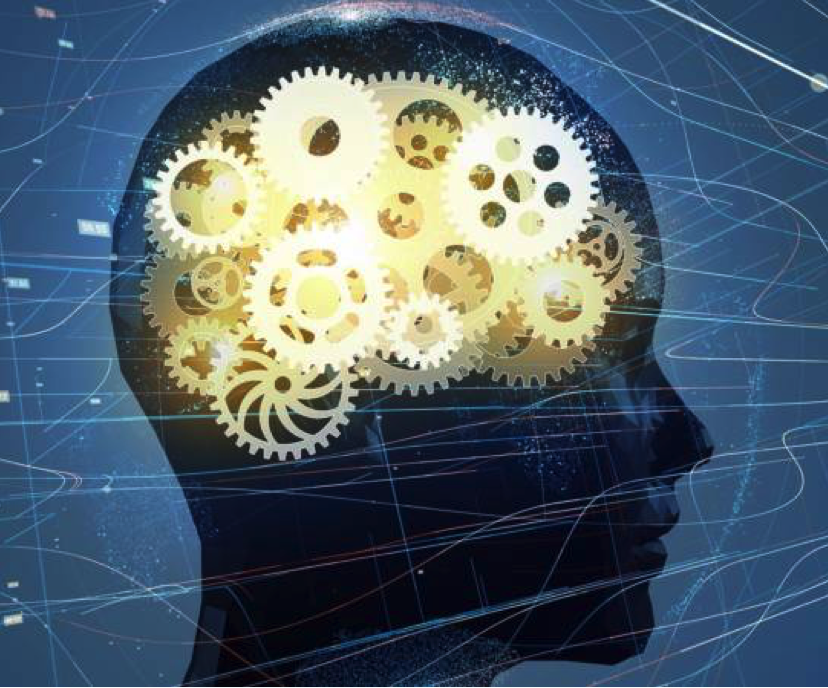 Sarper Alkan, A computational model of the brain for decoding mental states from fMRI